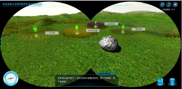 自然保护区虚拟仿真野外实习